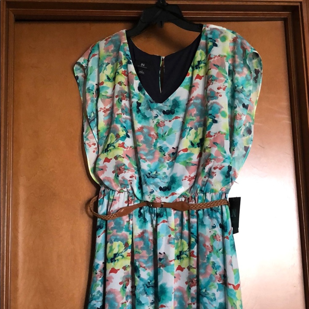 NWT Spring/Summer dress, size large.